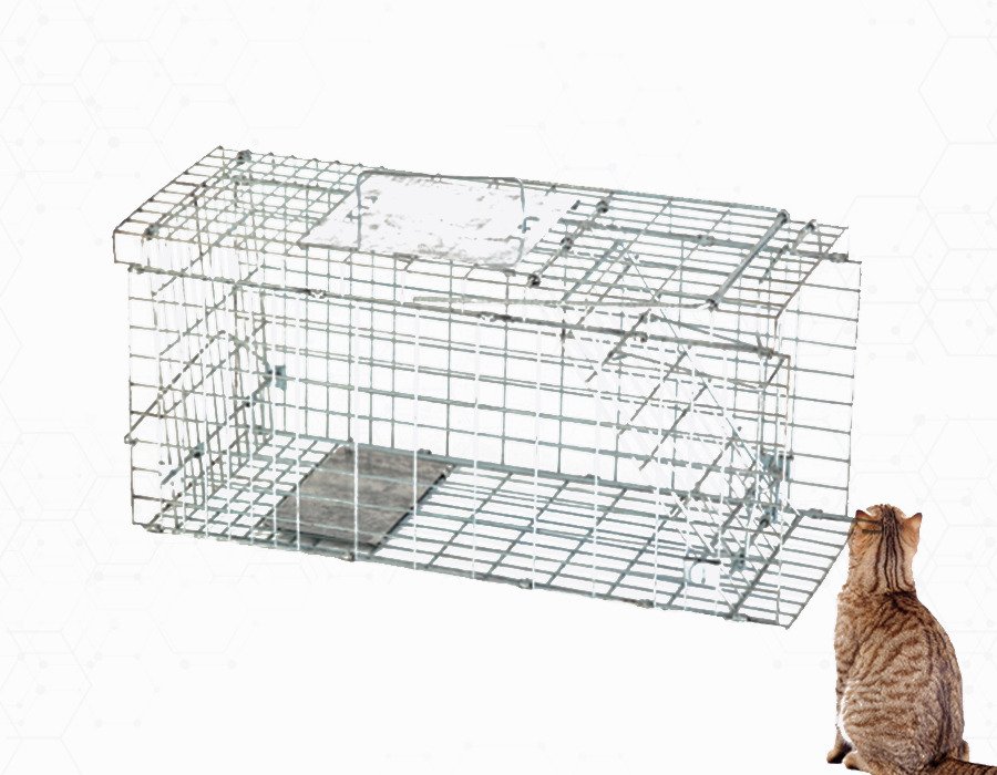 CAGE CHAT