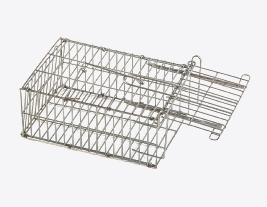 CAGE DE CAPTURE POUR RATS