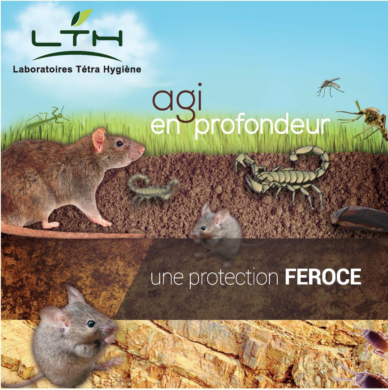 Protection LTH contre rongeurs, scorpions, moustiques et cafards — action en profondeur